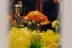 mirroshow-Bearbeitet-508x663